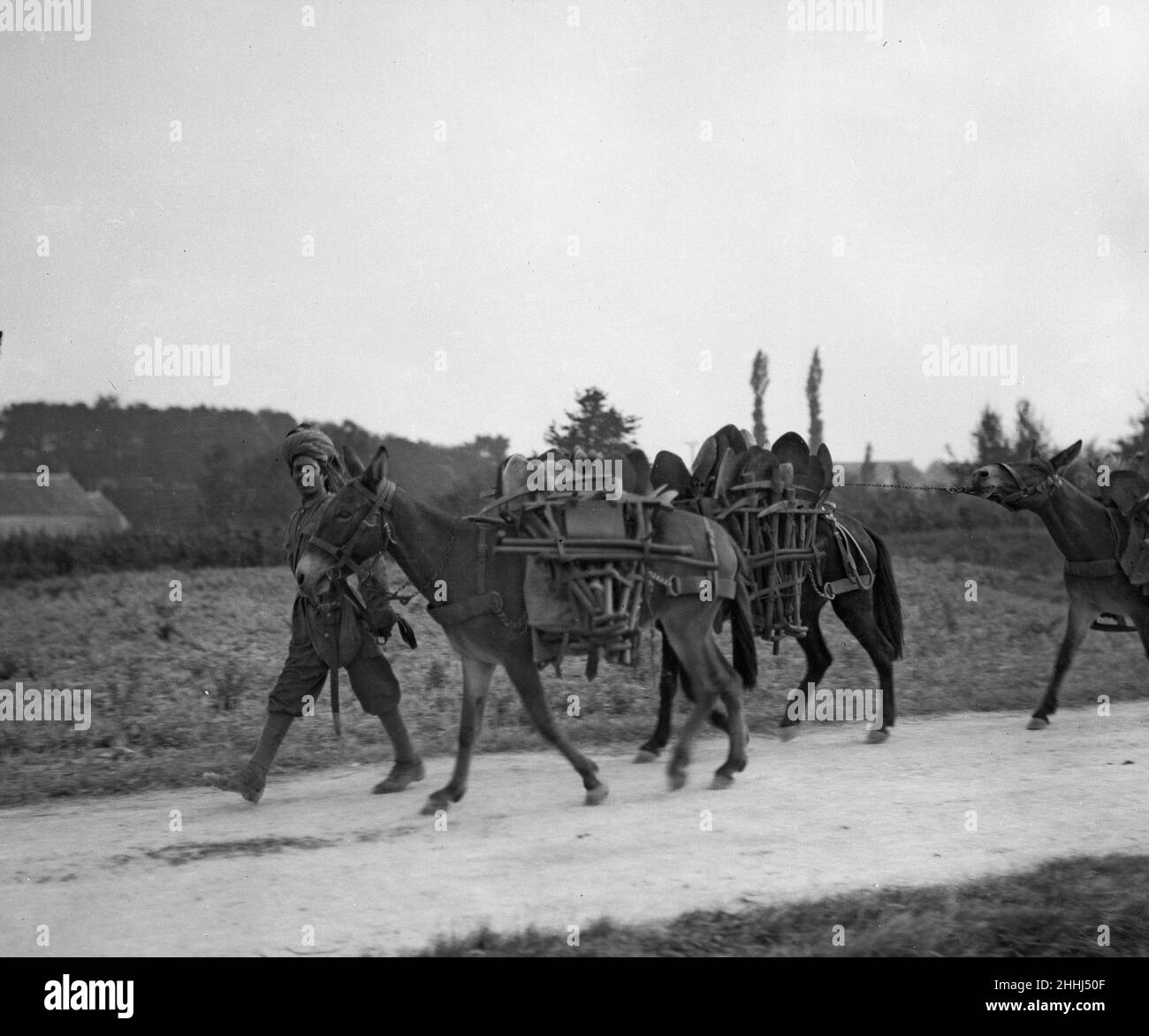 Soldati della Divisione indiana di Lahore del 3rd visti qui con muli carichi di vele di fieno che fanno la loro strada fino alla parte anteriore. Circa ottobre 1914 Foto Stock