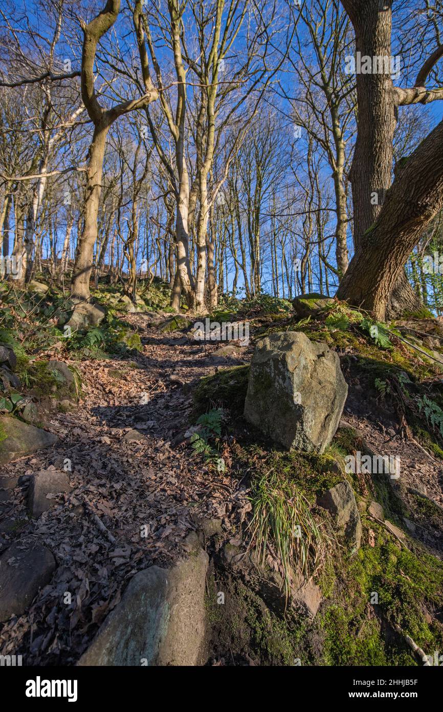 Vista generale di Crich Chase, Derbyshire, Regno Unito Foto Stock