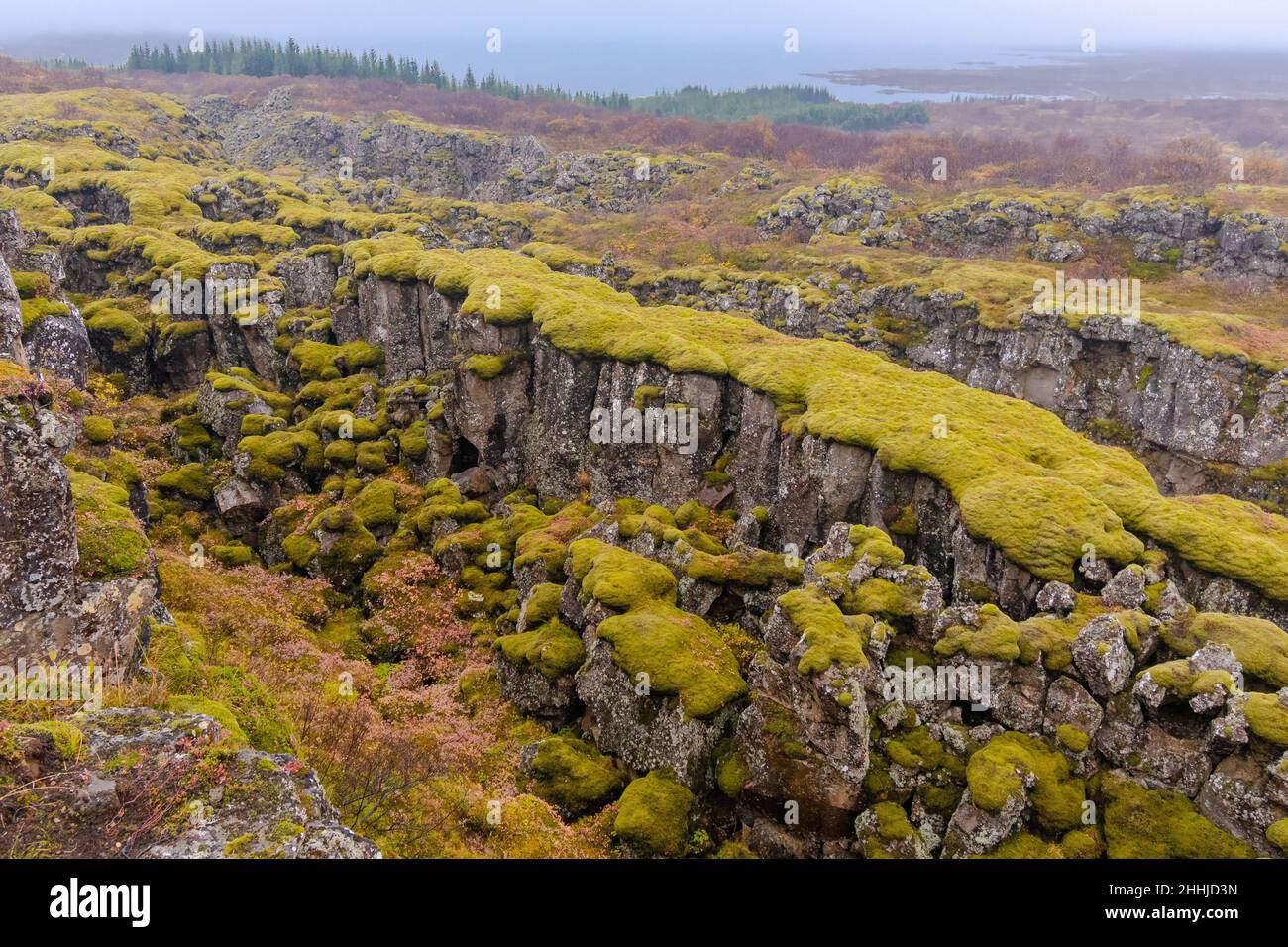 Im Land der Feen und Elfen Island das verborgene Volk - nella terra delle fate e degli elfi Islanda il popolo nascosto Foto Stock