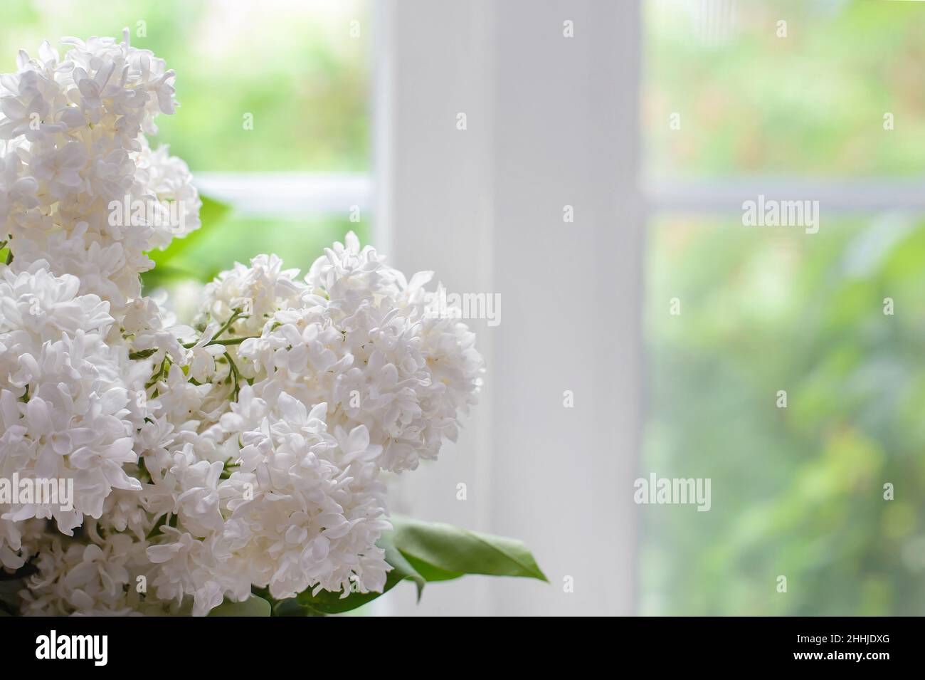 Un ramo di lilla bianca da un bouquet sul davanzale a casa closeup Foto Stock