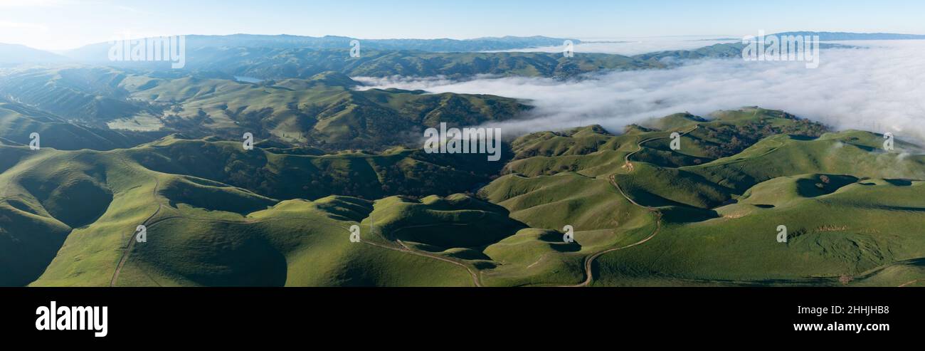 Lo strato marino si estende sulle verdi colline ondulate e le valli di Livermore, California settentrionale, appena ad est della Baia di San Francisco. Foto Stock