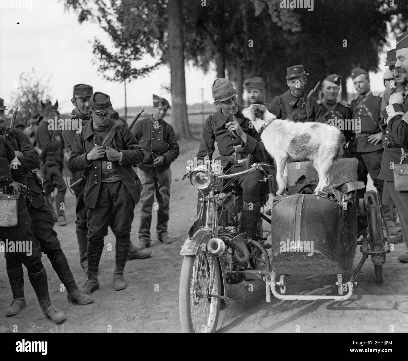Prusco, un cane di polizia belga, parte per il fronte con l'esercito francese. Il suo compito sarà quello di portare con sé un lavoro al quale è abituato. Circa agosto 1914 Foto Stock