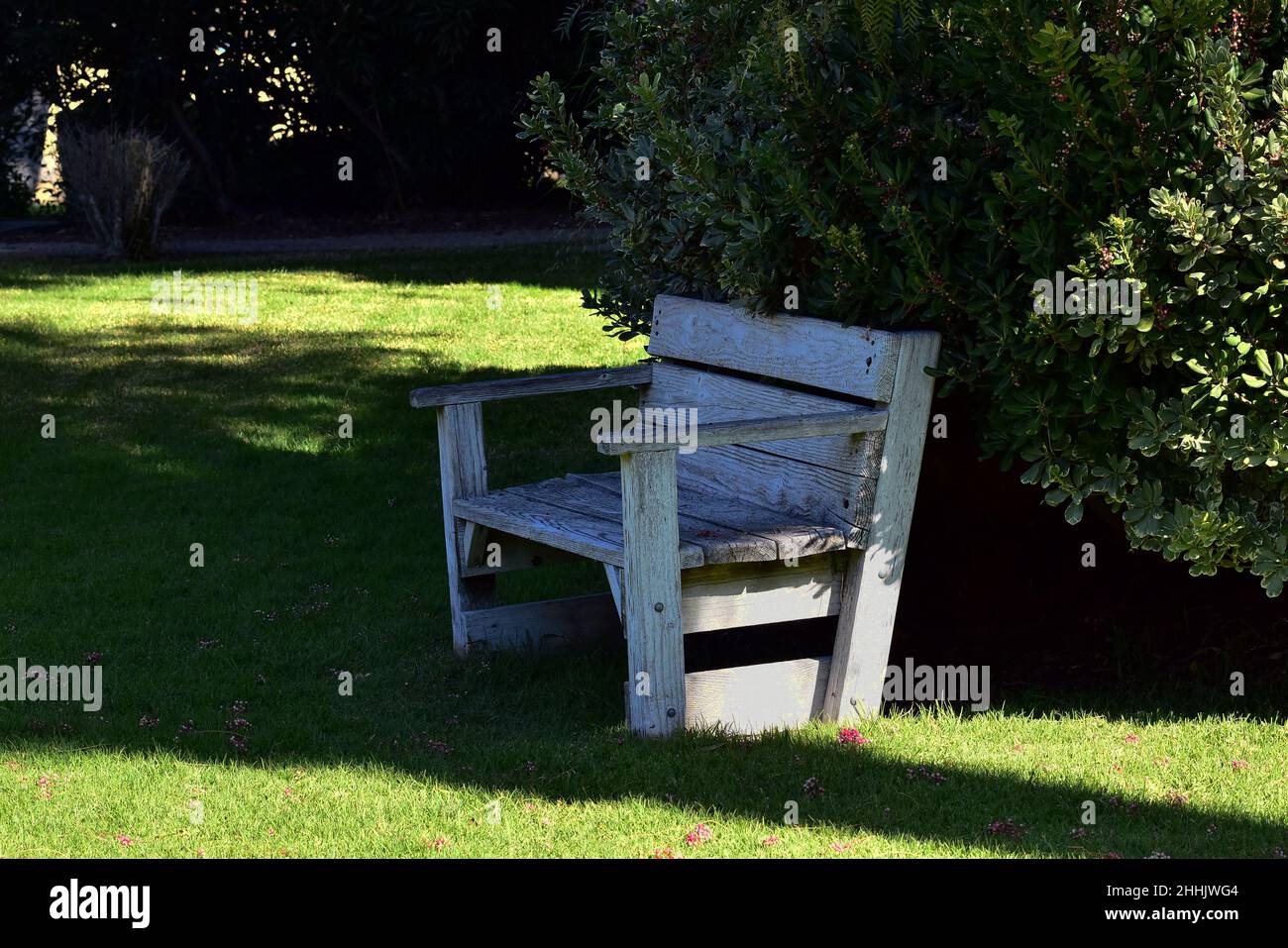 Panca di legno in ombra in un giorno di sole in un ambiente tranquillo Foto Stock