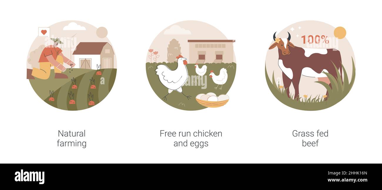 Illustrazioni vettoriali astratte di concetto di agricoltura ecologica. Illustrazione Vettoriale