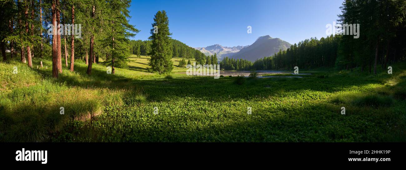 Parco Naturale Regionale del Queyras con lago Lac de Roue in estate (panoramico). Arvieuxin Hautes-Alpes (Alpi francesi). Francia Foto Stock