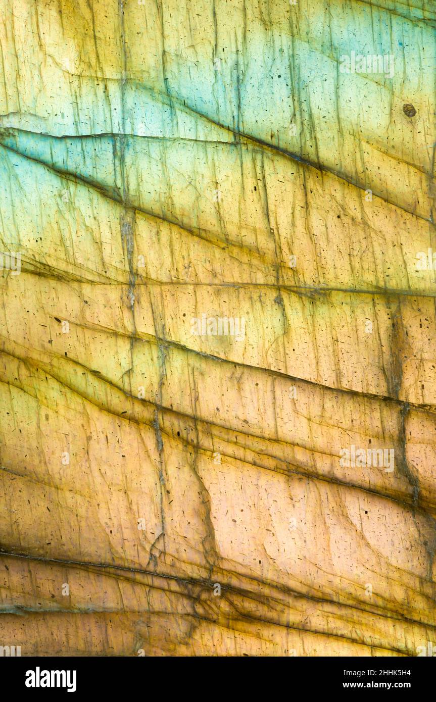 Macrophoto dei motivi e dei colori iridescenti in un pezzo di labradorite lucidata dal Madagascar Foto Stock