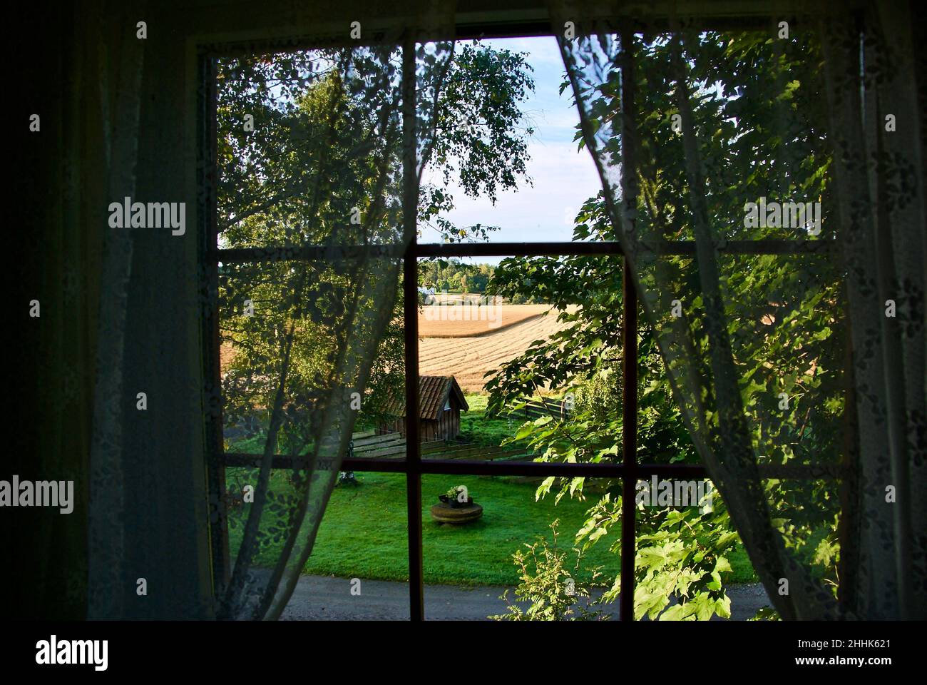 Vista sul giardino e sulla campagna in Norvegia attraverso una finestra con tenda in pizzo. . Foto Stock