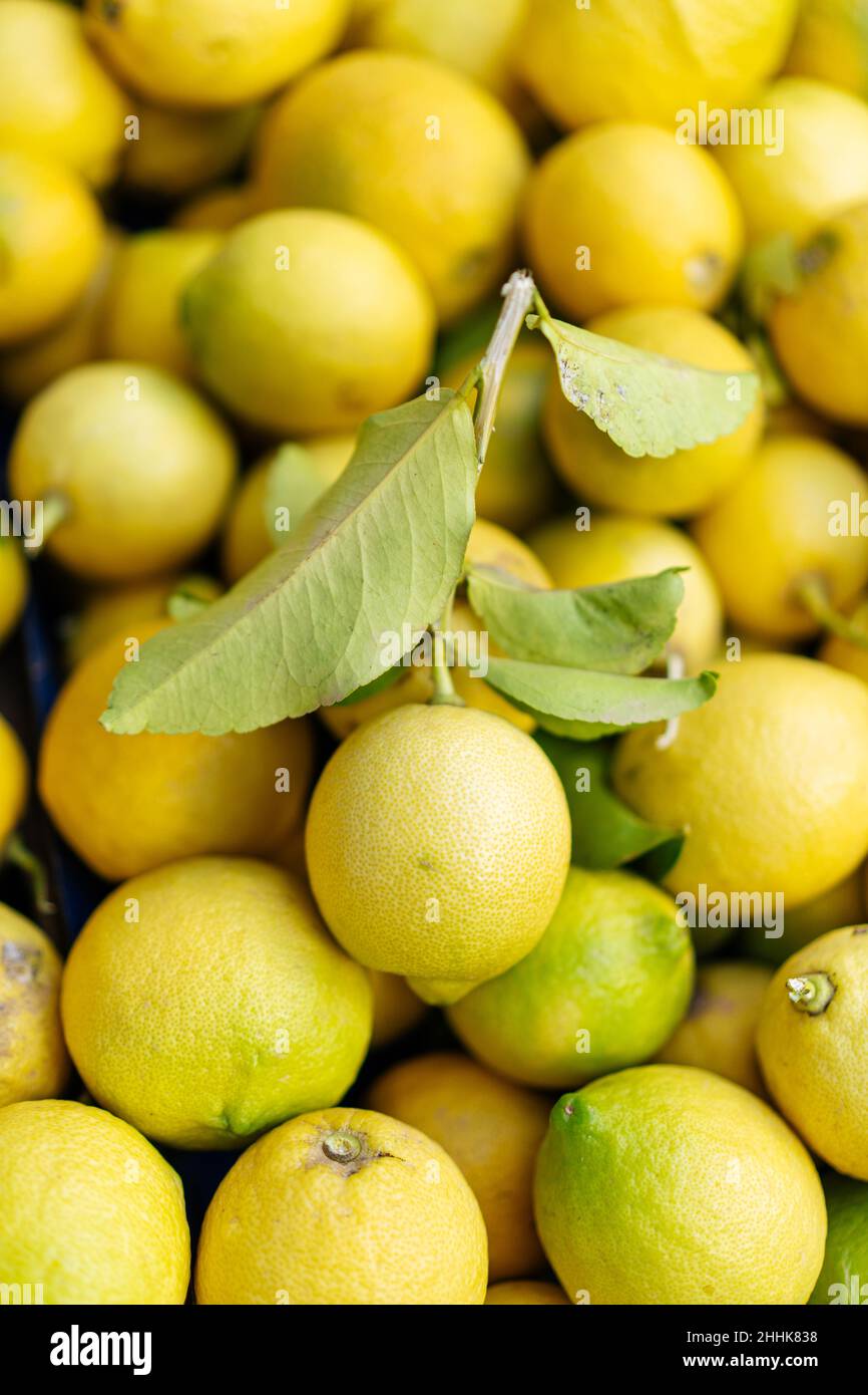Pieno telaio pile di limoni freschi con foglie verdi poste in stalla nel mercato locale con luce solare brillante il giorno d'estate Foto Stock