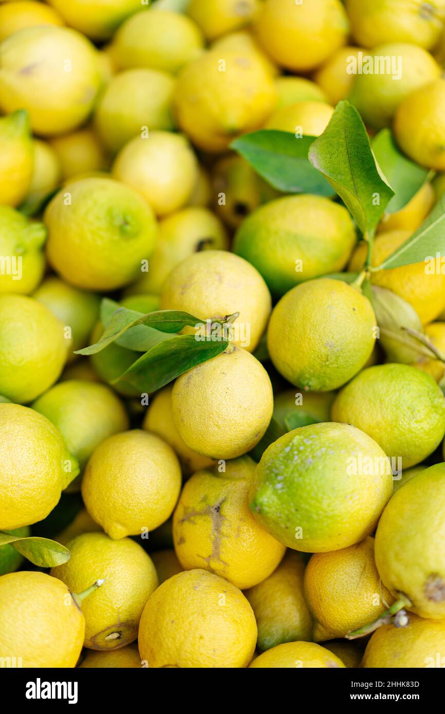 Pieno telaio pile di limoni freschi con foglie verdi poste in stalla nel mercato locale con luce solare brillante il giorno d'estate Foto Stock