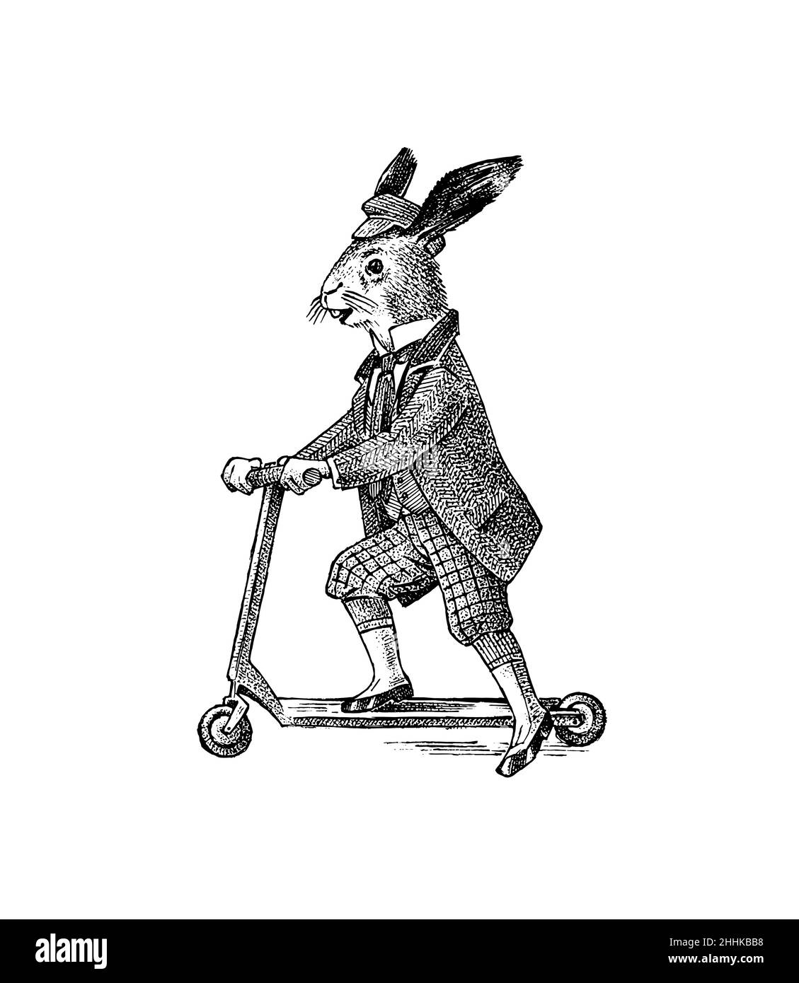 Lepre o coniglio guida uno scooter. Uomo antico in un cappotto e cappotto. Victorian Antica retrò Abbigliamento. Un uomo in abito. Vecchio monocromatico disegnato a mano Illustrazione Vettoriale Lepre o coniglio guida uno scooter. Uomo antico in un cappotto e cappotto. Victorian Antica retrò Abbigliamento. Un uomo in abito. Vecchio monocromatico disegnato a mano Illustrazione Vettoriale