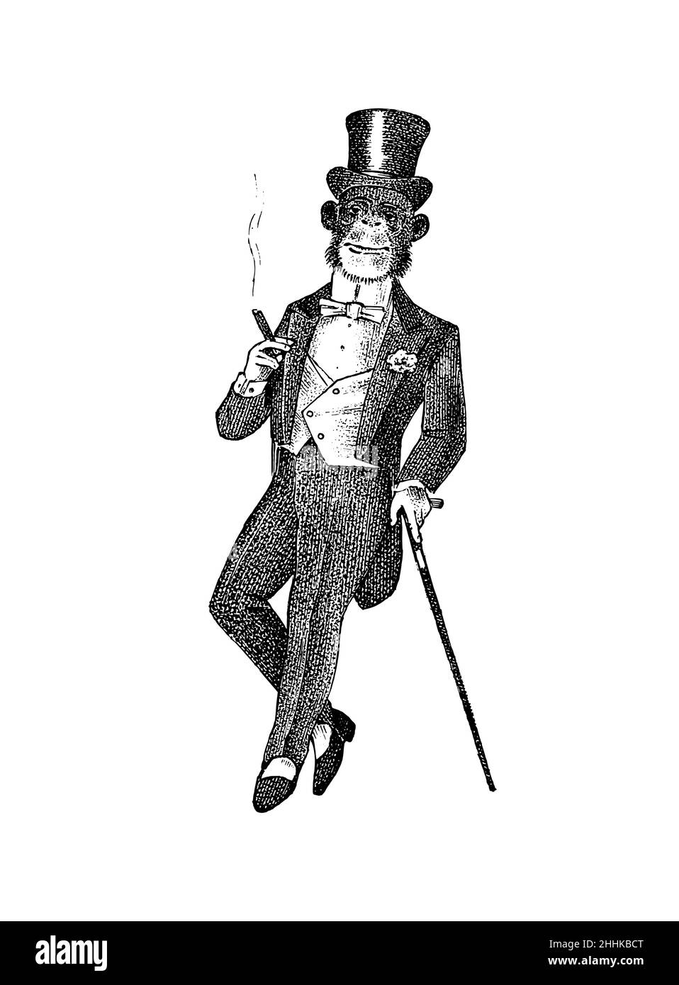Scimmia alla moda in abiti. Uomo antico che fuma un sigaro. Victorian Antica retrò Abbigliamento. Un uomo in abito. Stile incisione vintage. Mano Illustrazione Vettoriale