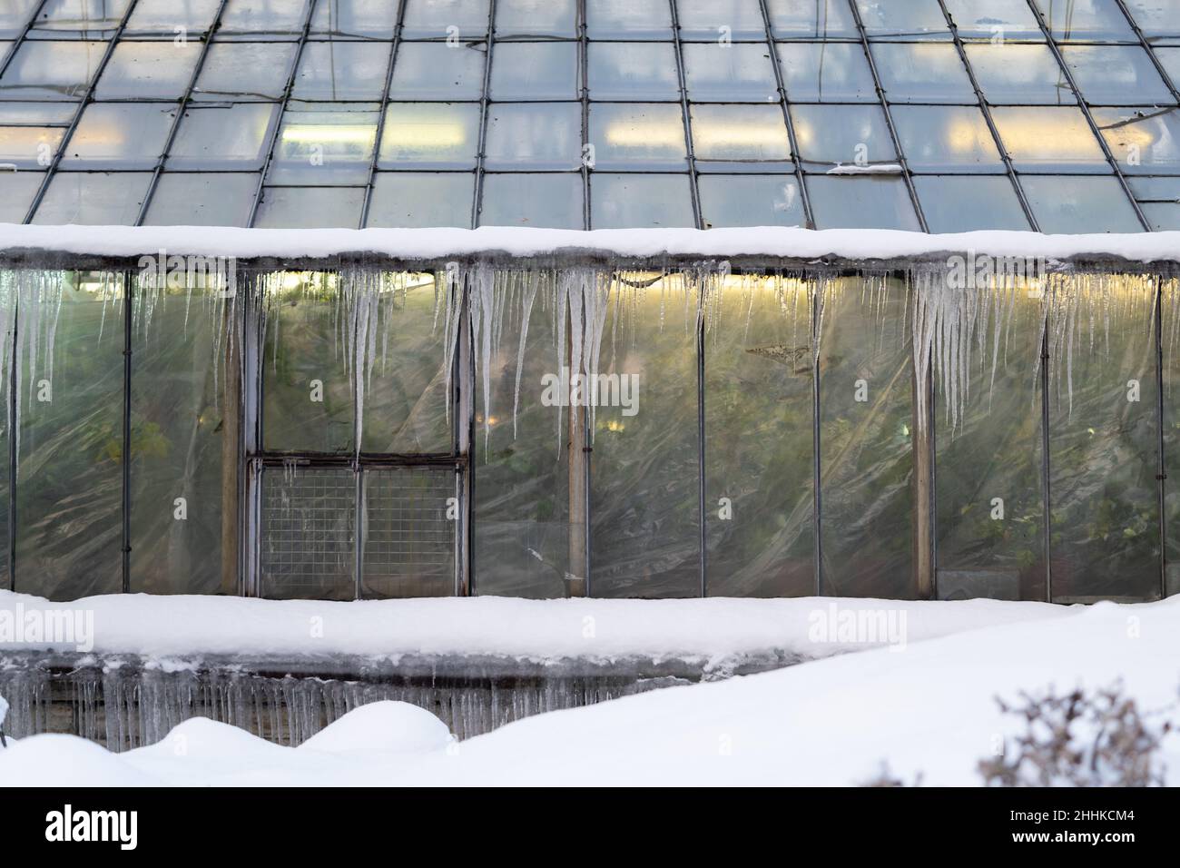 Le piante esotiche crescono all'interno dell'attico, mentre l'esterno è coperto di orangerie ricoperte di neve e ghiaccio d'inverno Foto Stock
