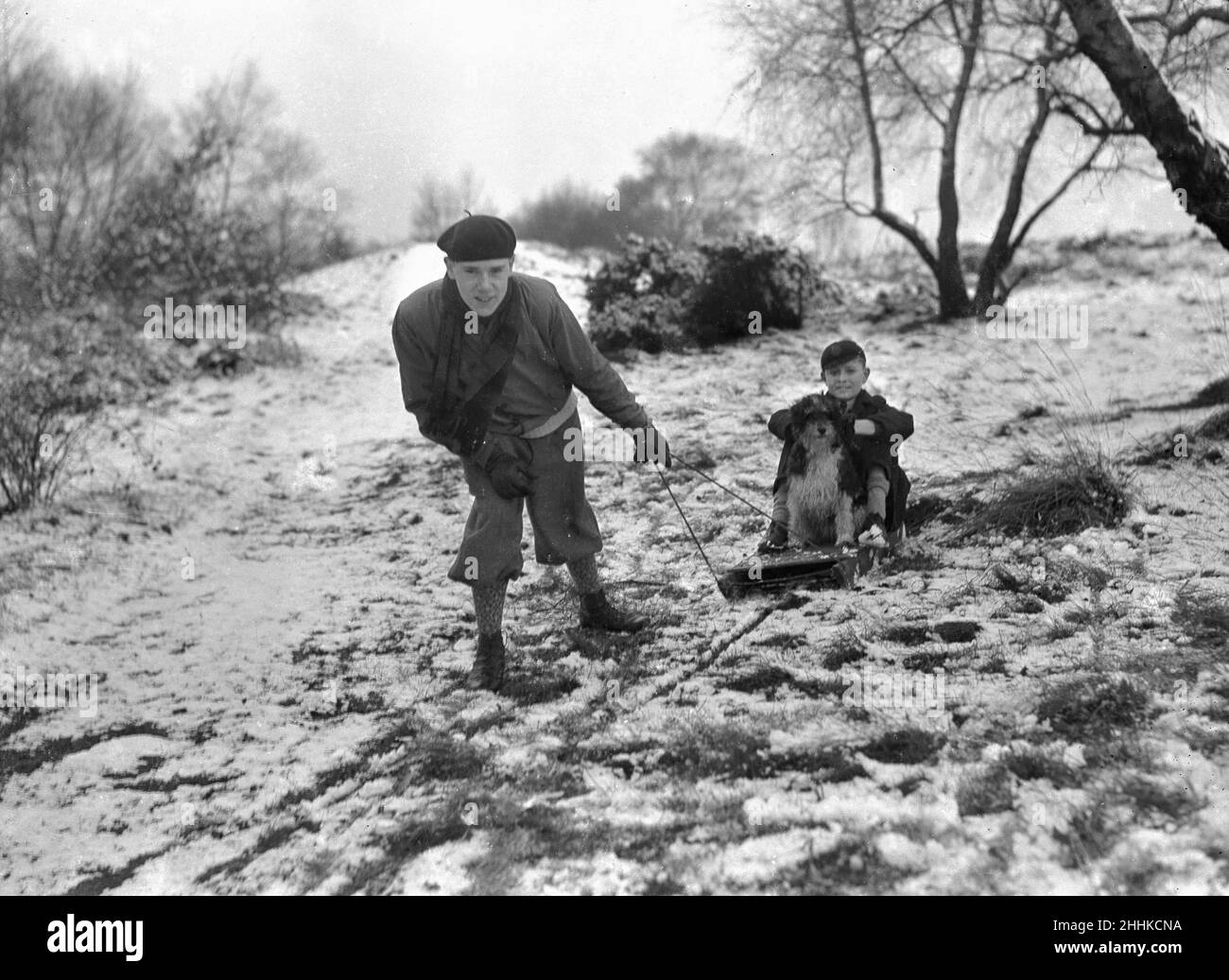 Due ragazzi slittano con il loro cane.5th Gennaio 1933 Foto Stock