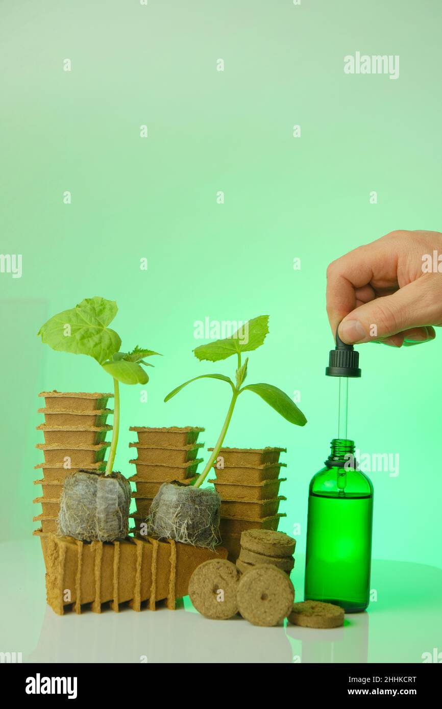 Attivatore del sistema di radice di semina in una bottiglia di vetro verde, una pianta di cetriolo e una pipetta in una mano. Fertilizzante per energia di crescita di plantings. Per piante Foto Stock