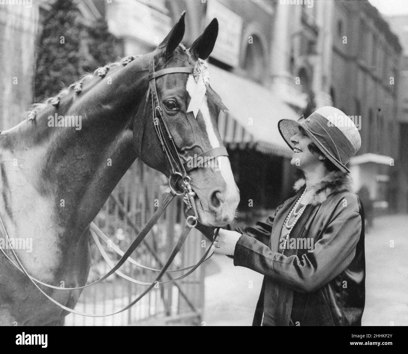 Costanza, Duchessa di Westminster, raffigurata con la sua castagna leggera di sette anni, lo Shiek, il primo vincitore della classe per il cavallo e pony (adatto per hacking o opere di parco) all'International Horse Show, Olympia, Londra, 17th giugno 1926. Foto Stock