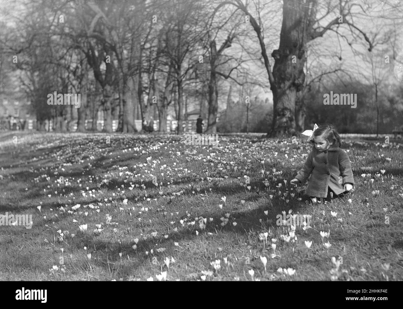 Alfieri. Giovane ragazza e fiori. Ottobre 8th 1933. Foto Stock