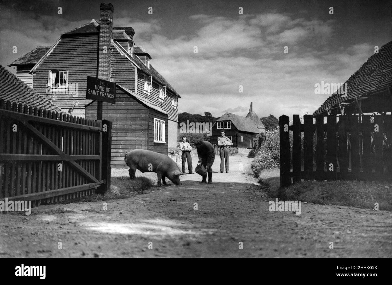 Tendere i maiali in un casale secolare a Ticehurst, Sussex, che è stato convertito dalla Confraternita di San Francesco d'Assisi in rifugio per giovani tramps. I tramps di età compresa tra quattordici e ventitré anni sono dotati di un cambio di abbigliamento e, dopo aver ricevuto un po' di addestramento, si sforzano di trovare lavoro per loro prima di rassegnarsi ad essere "cavalieri della strada” regolari. Settembre 1933. Foto Stock