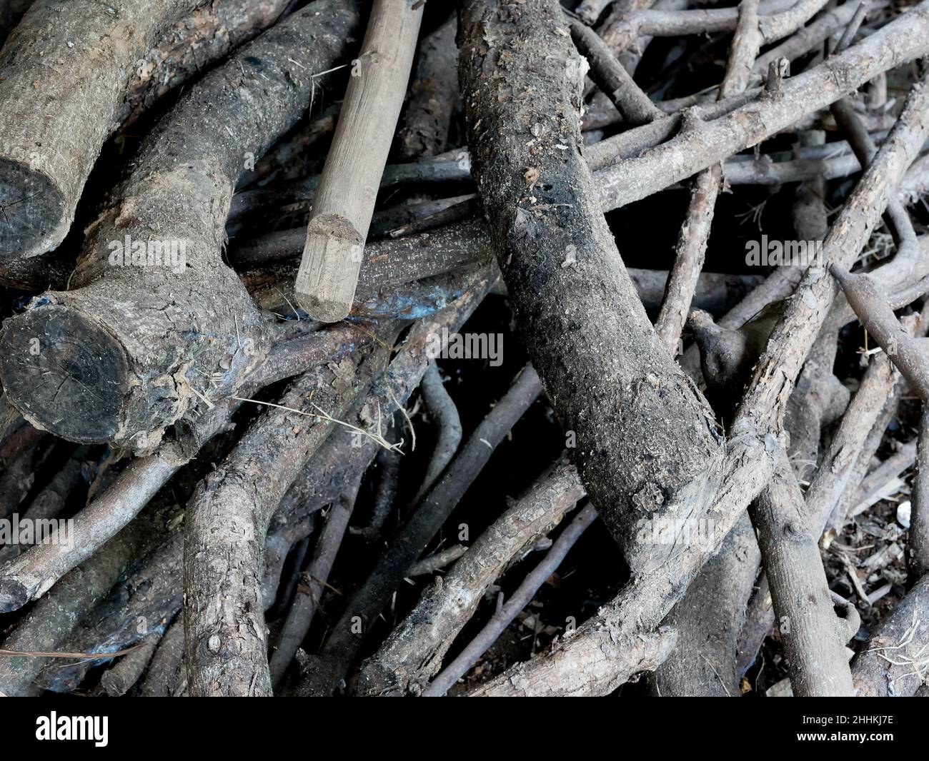 mucchio di rami di albero, usato per legna da ardere Foto stock - Alamy