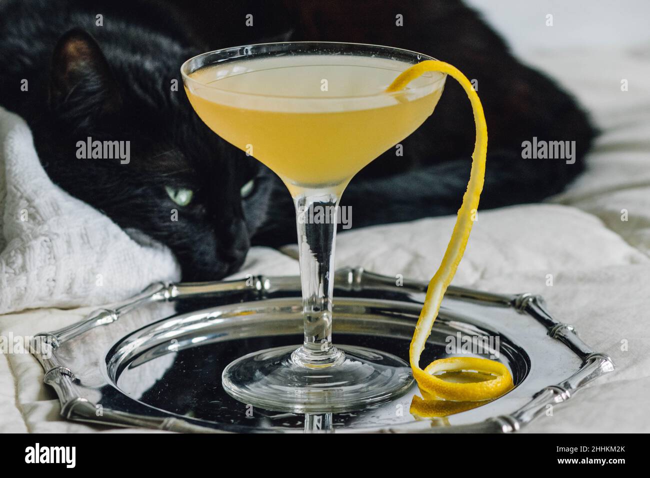 gatto nero con occhi verdi e cocktail giallo sul letto bianco Foto Stock