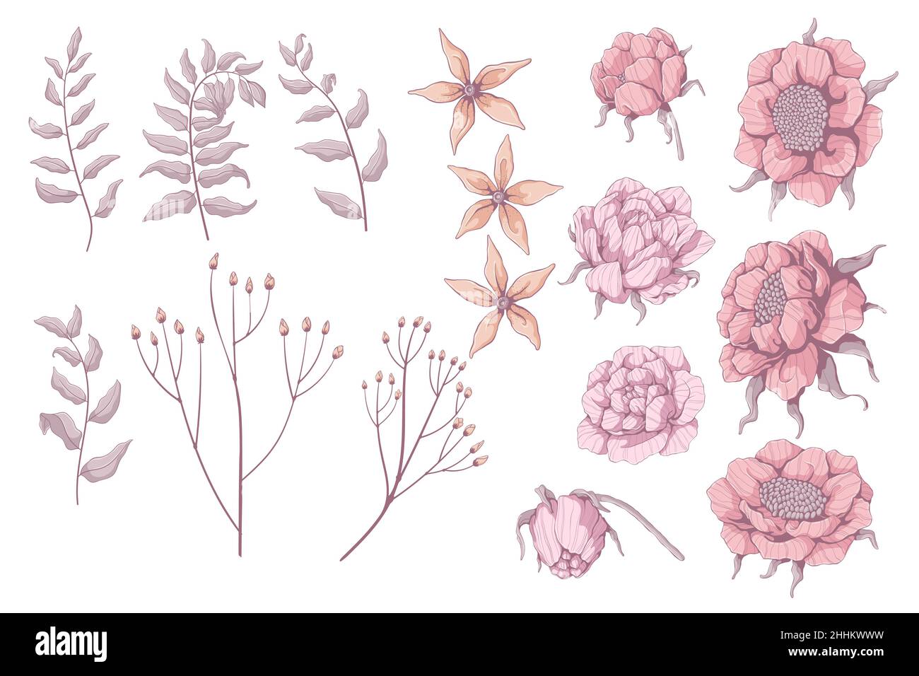 Set di fiori disegnati a mano. Peonie, rose e ramo con foglie. Prelievo primaverile. Illustrazioni vettoriali floreali. Isolato su sfondo bianco. Illustrazione Vettoriale