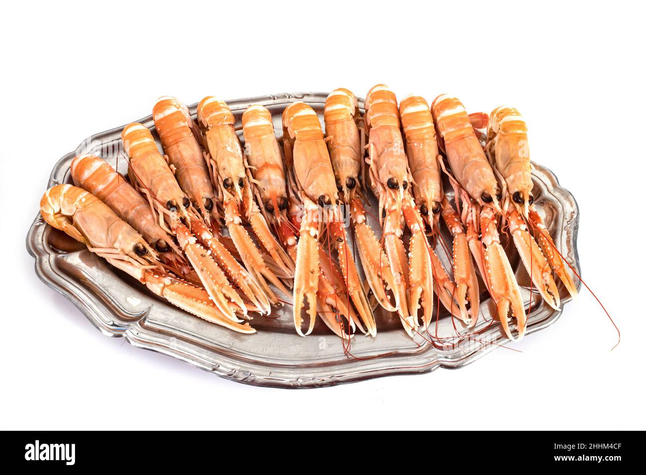 sgoustine fresche in studio Foto Stock