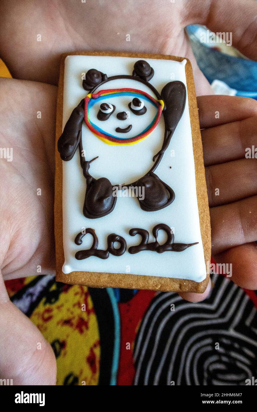 Pechino, Cina. 25th Jan 2022. Torta con Bing DWEN DWEN, mascotte delle Olimpiadi invernali raffigurata a Pechino, Cina il 25/01/2022 i confettieri nella capitale cinese hanno lanciato torte con anelli olimpici, loghi olimpici e simboli dei singoli sport olimpici invernali per celebrare i prossimi giochi. Di Wiktor Dabkowski Credit: dpa/Alamy Live News Foto Stock