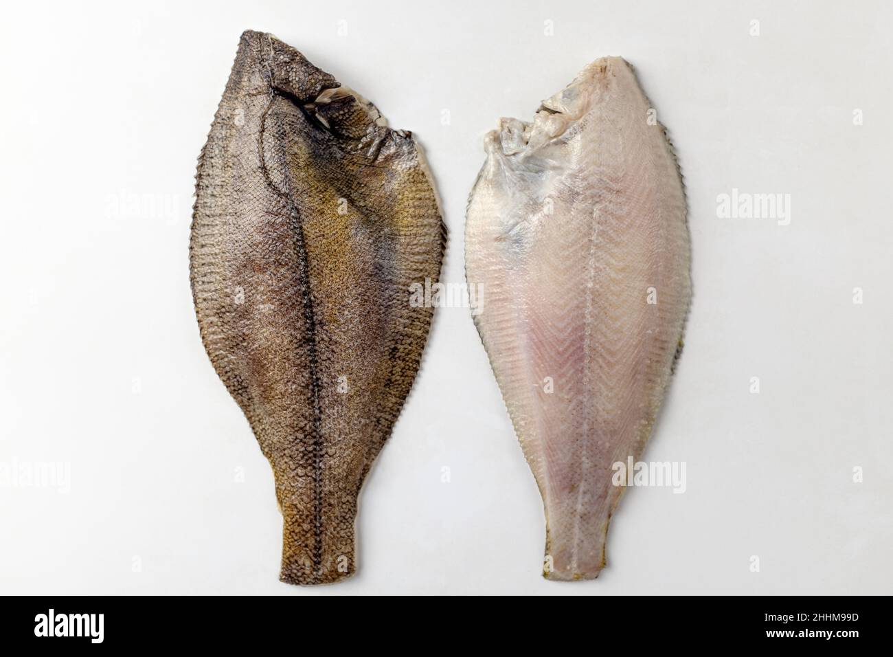 pesce piatto su sfondo bianco Foto Stock