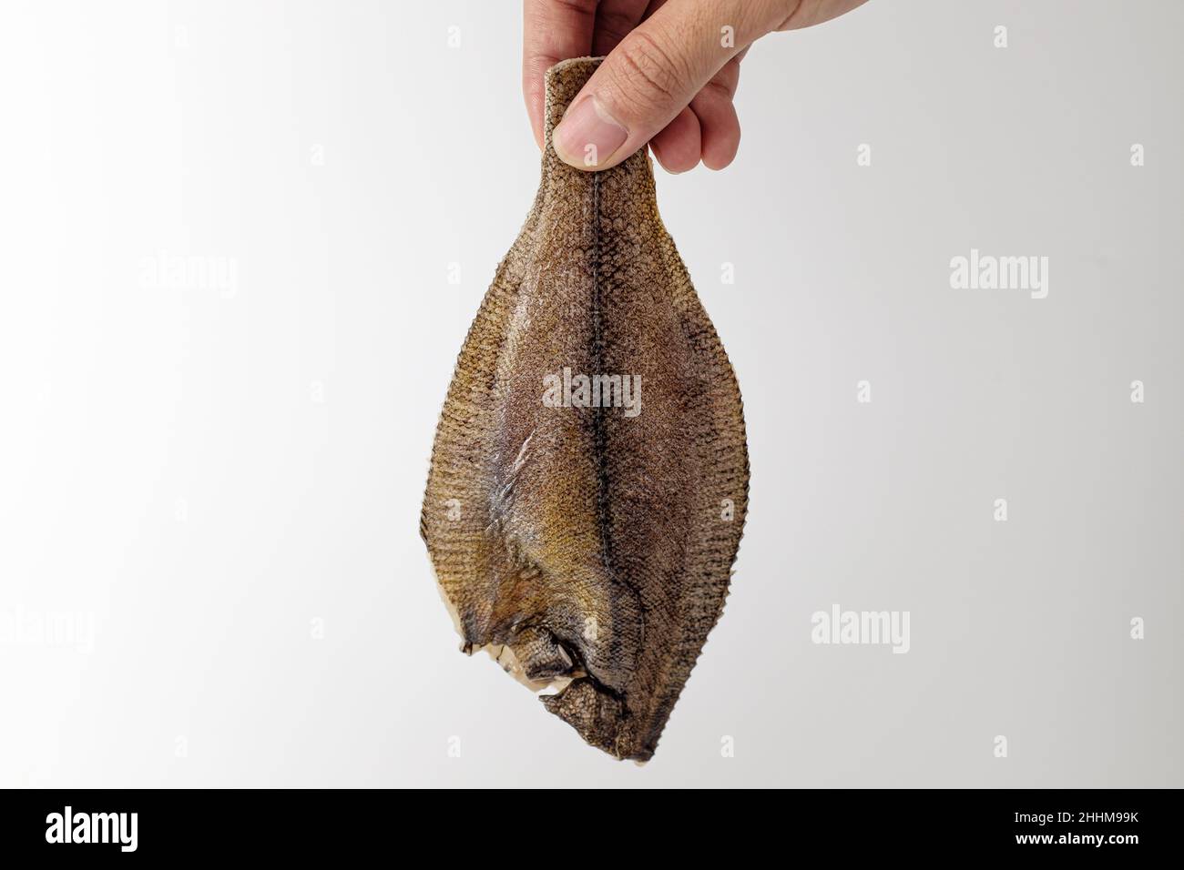 pesce piatto su sfondo bianco Foto Stock