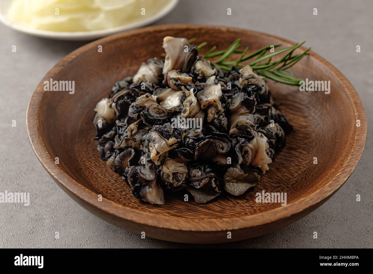 lumache di fiume che vivono in fiumi curati Foto Stock