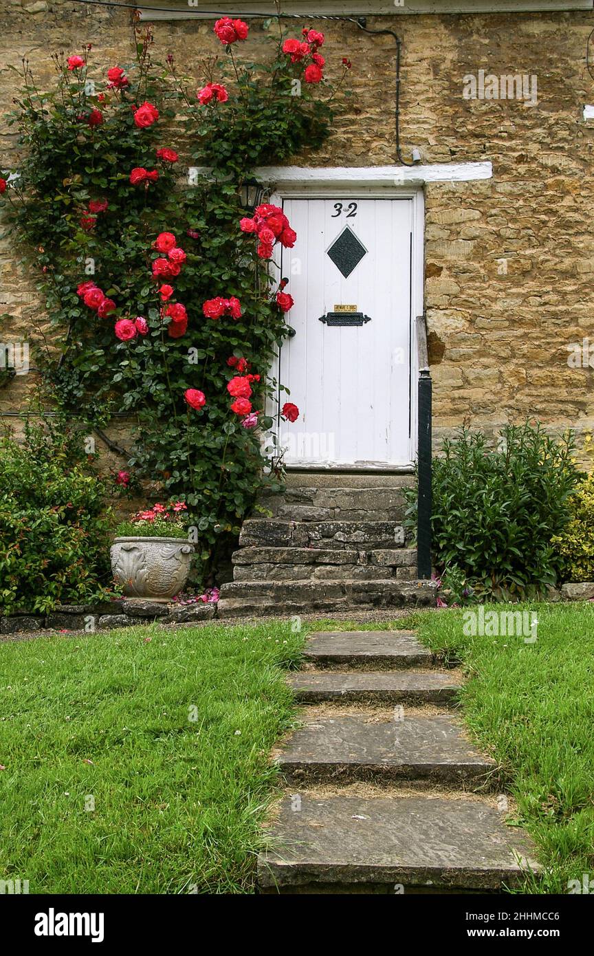 Gradini che conducono ad una porta bianca fronte cottage, parzialmente circondato da rose rosse, villaggio di Wadenhoe, Northamptonshire, Regno Unito Foto Stock