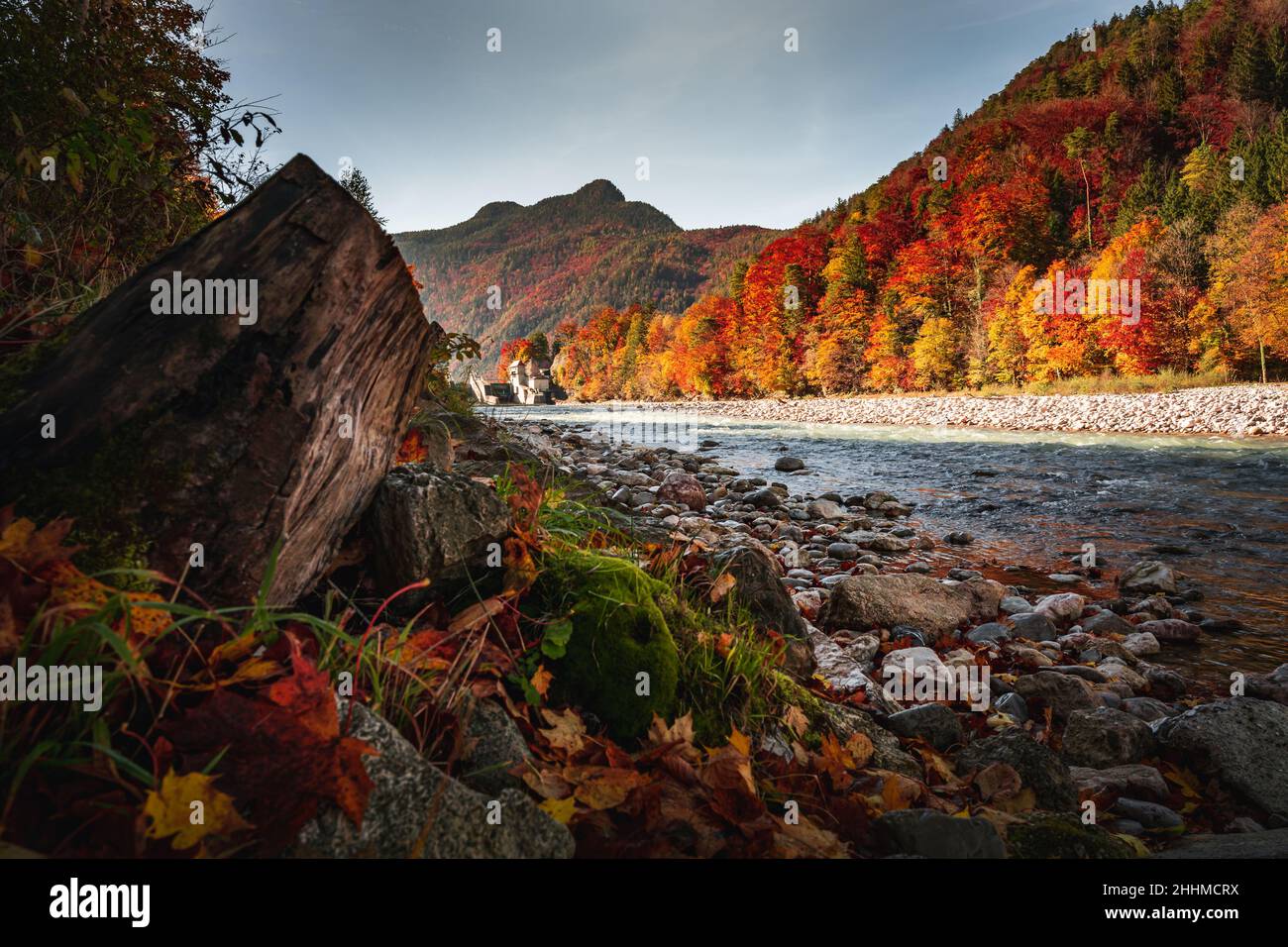 Herbst am Fluss Saalach Bad Reichenhall im Berchtesgadener Land Foto Stock