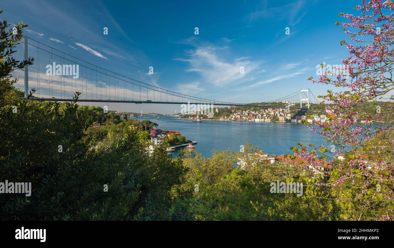 Primavera a Istanbul. Vista sul Bosforo e sui famosi fiori di redbud. Vista su Istanbul dal parco Mihrabat. Beykoz, Turchia Foto Stock