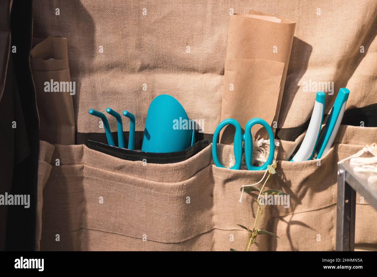 Attrezzi da giardinaggio, pala, forbici, rastrello per piante da interno in un grembiule. Foto Stock