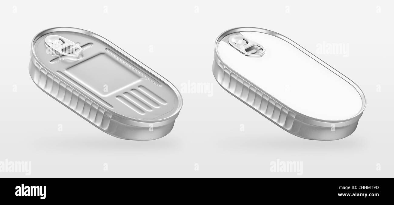 Lattina può per nuovo disegno con testo, 3D rendering, modello, vista di pesce in scatola in argento contenitori ovali primo piano, isolato su sfondo grigio Foto Stock