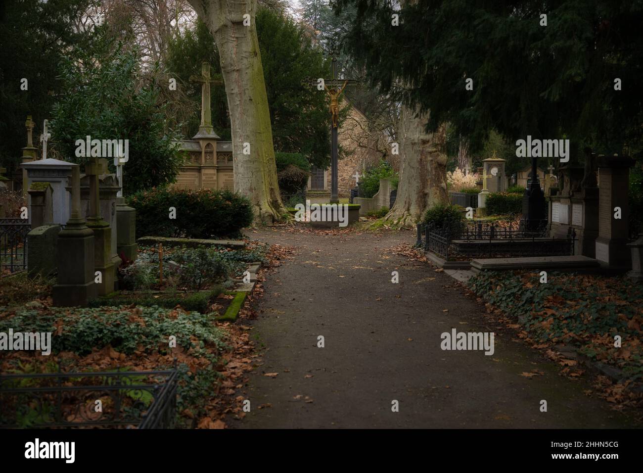 Alter Friedhof Bonn Foto Stock