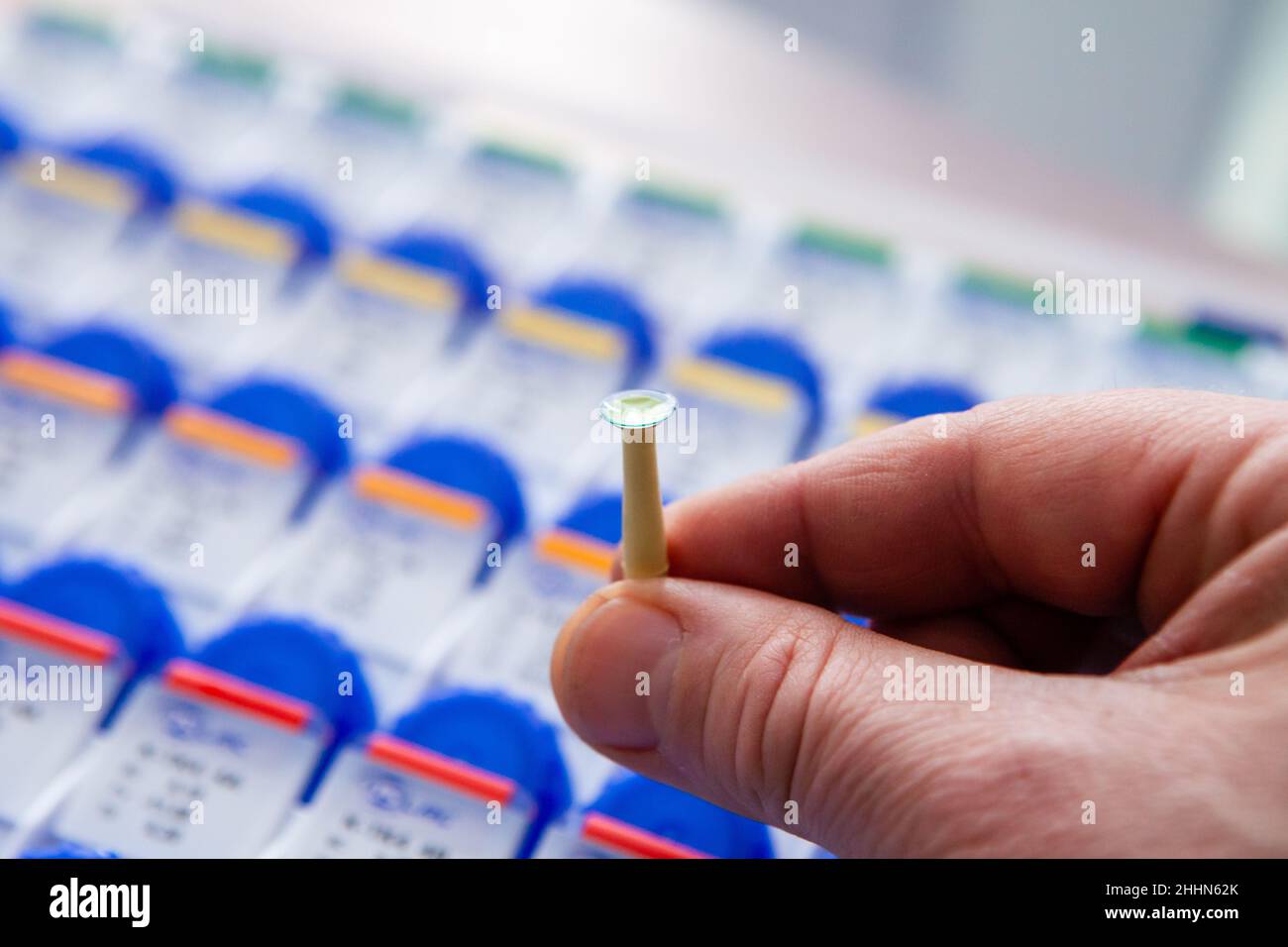 Un medico ottico mostra una nuova lente a contatto chiara e pulita appoggiata su un supporto bastone. Sullo sfondo ci sono molte confezioni di altre nuove lenti a contatto Foto Stock