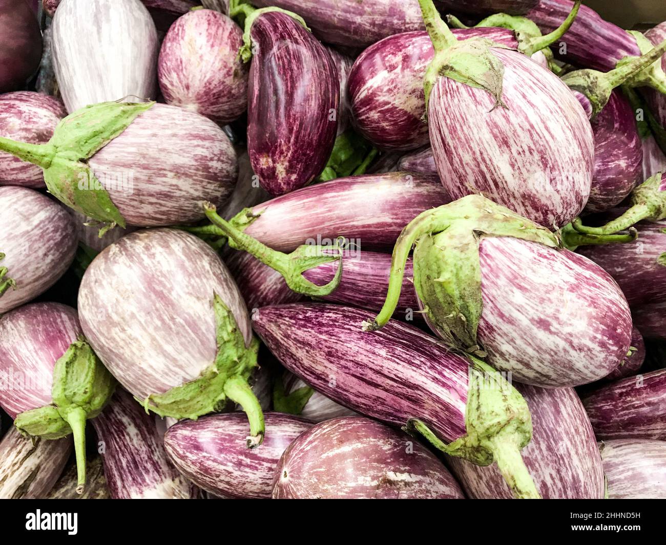 Primo piano di un mucchio di varietà colorate di melanzane Graffiti. Foto Stock