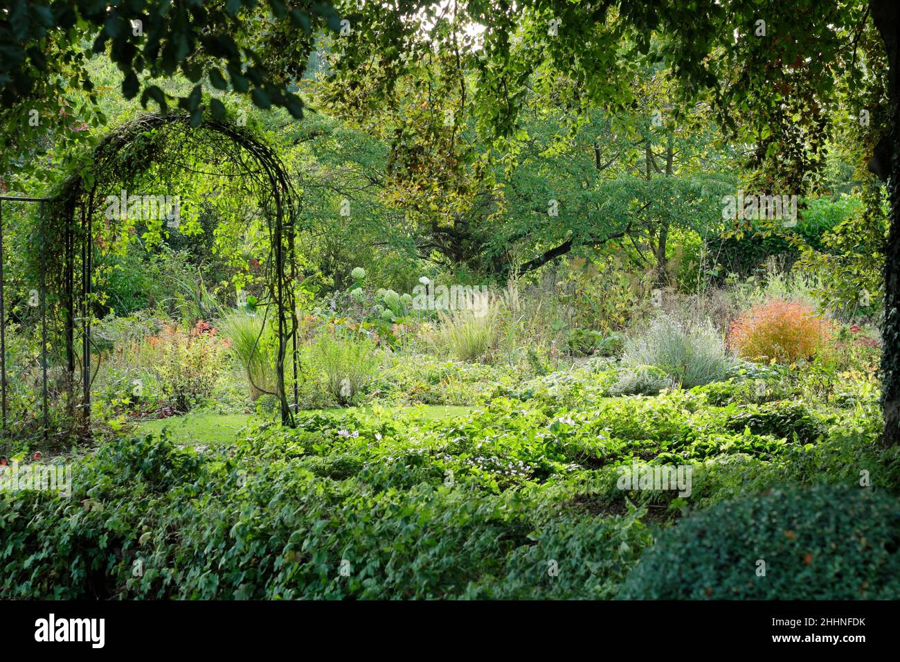 Giardino Arch.Garden Arch aggiunge interesse visivo e serve a dividere le zone tra un giardino boschivo e letti perenni. Autunno. REGNO UNITO Foto Stock