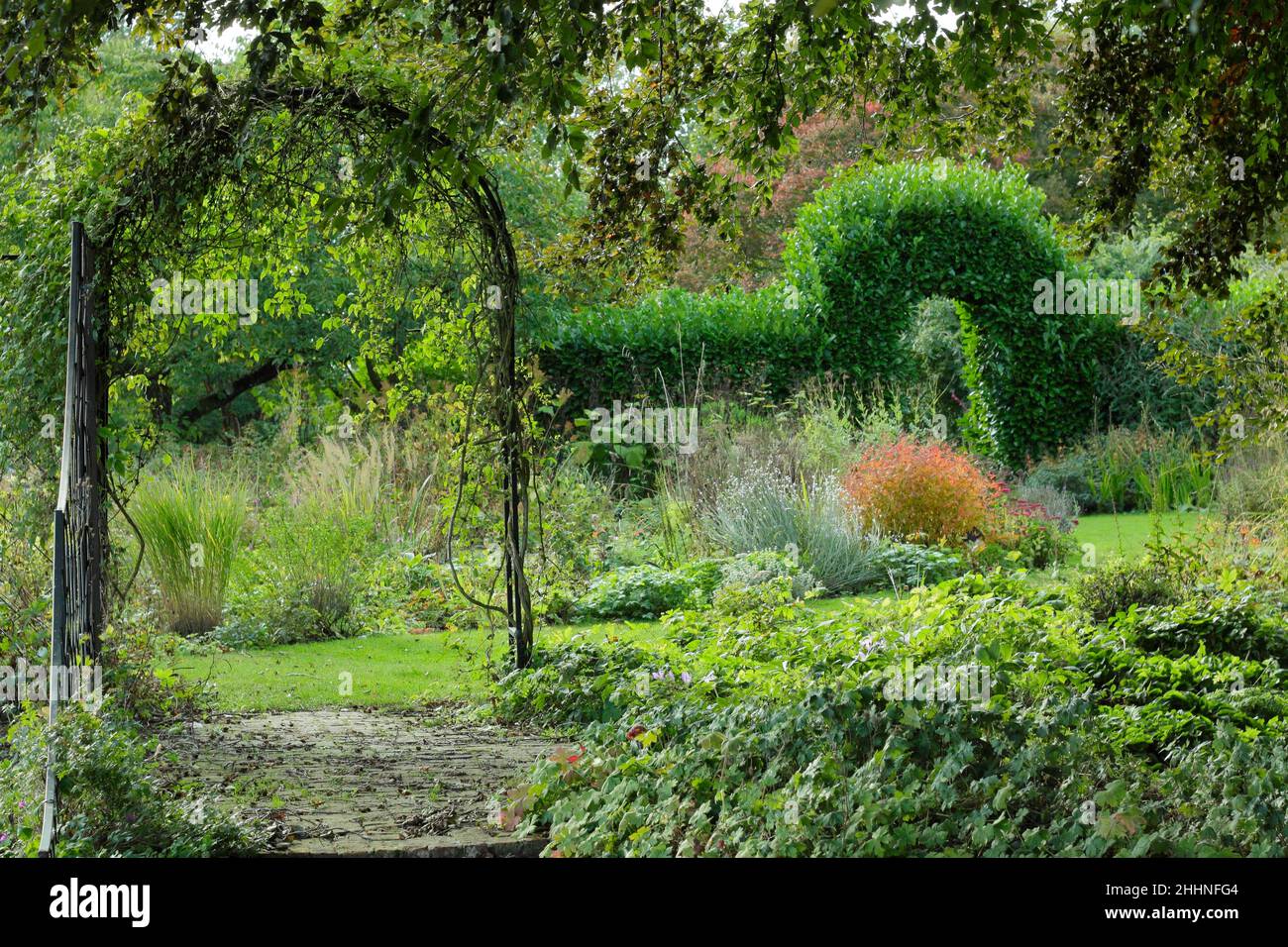 Giardino Arch.Garden Arch aggiunge interesse visivo e serve a dividere le zone tra un giardino boschivo e letti perenni. Autunno. REGNO UNITO Foto Stock