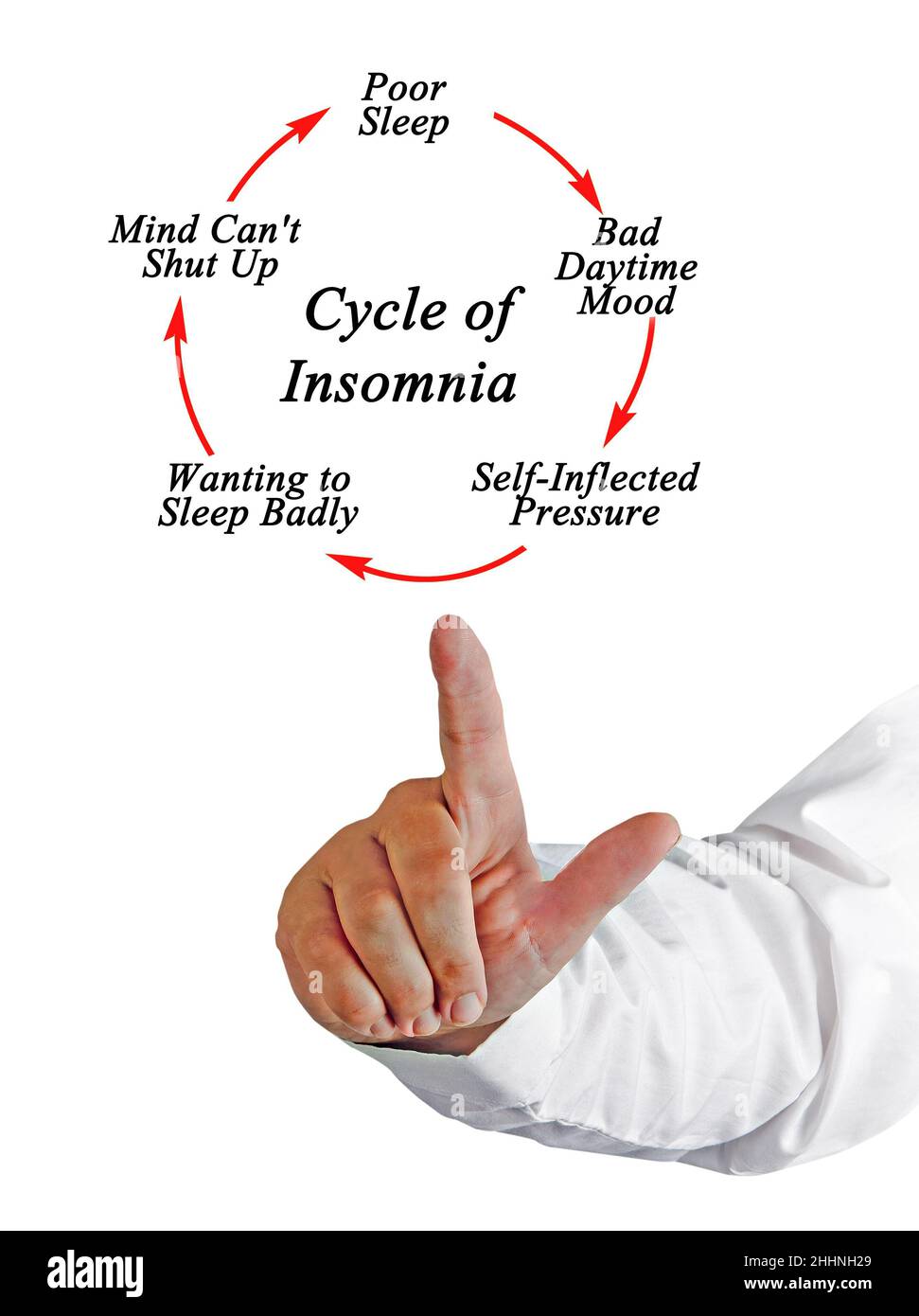 Componenti del ciclo di Insomnia Foto Stock