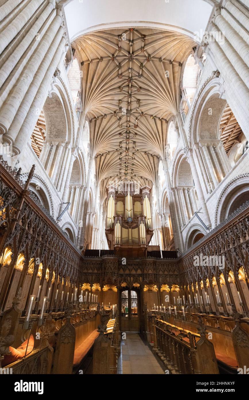 Cathedrals UK; Norwich Cathedral Interior UK; il coro, l'organo e il soffitto, Norwich, Norfolk Regno Unito Foto Stock