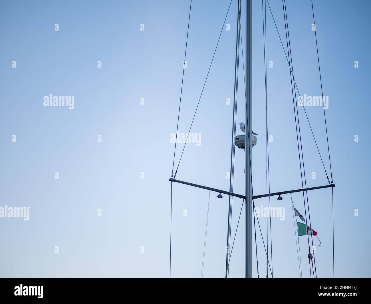 seagull poggia sul palo di una barca con sfondo cielo blu Foto Stock