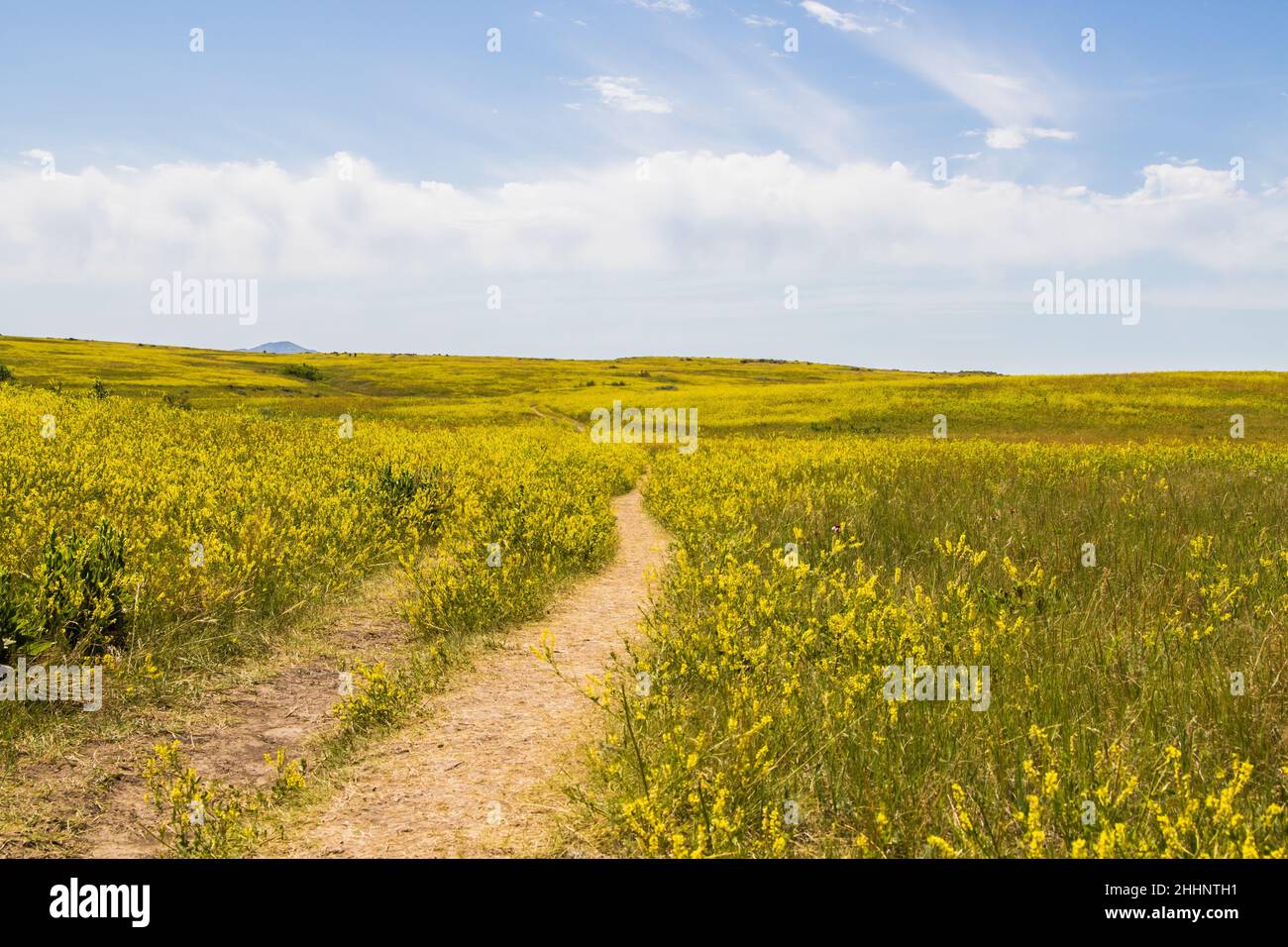 Seguire la strada sterrata gialla Foto Stock