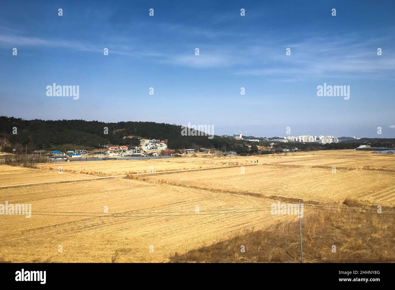 Vista panoramica del paesaggio rurale e dei campi agricoli nei pressi di Gangneung, Corea del Sud Foto Stock