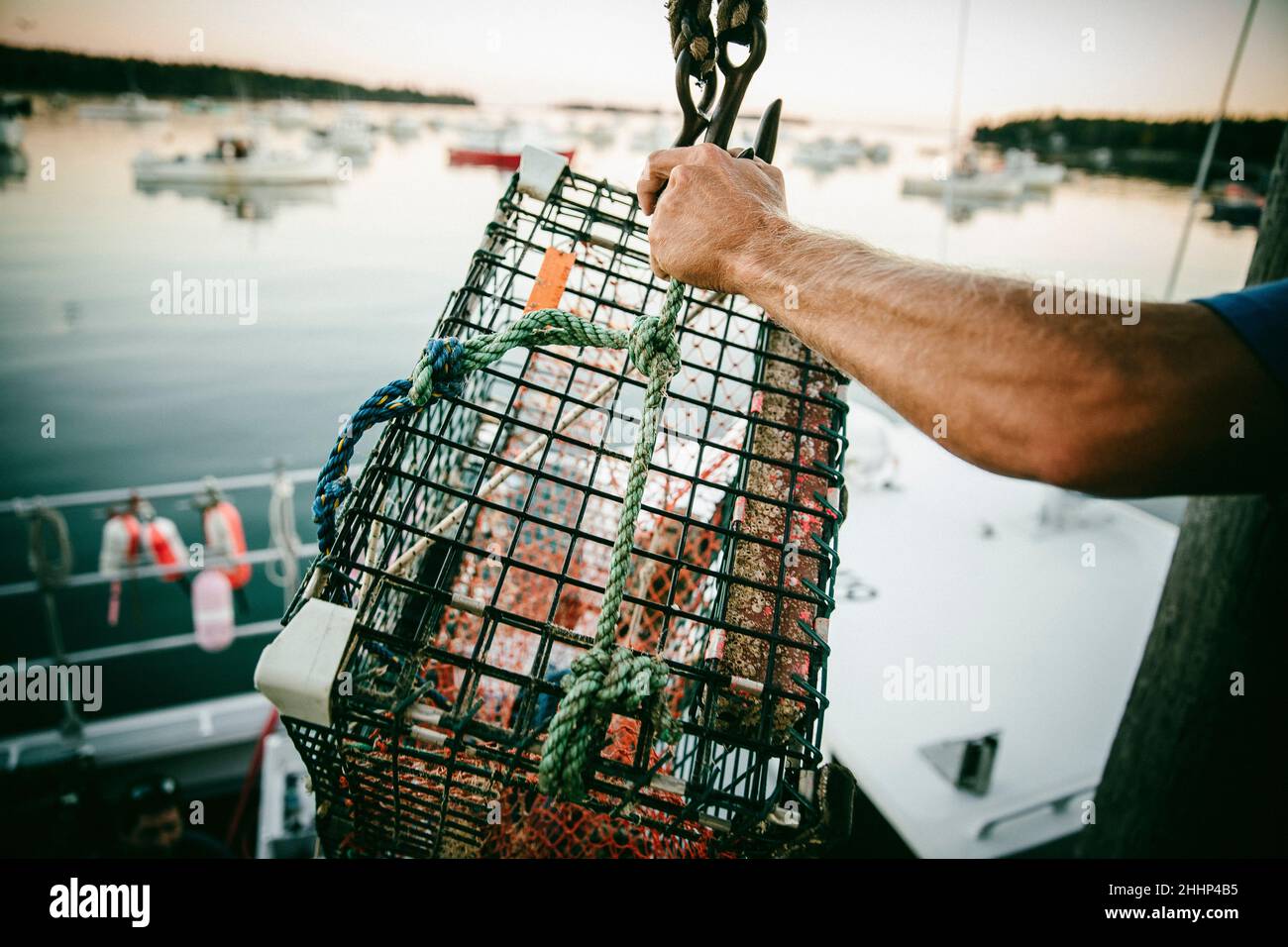 Pescatore di aragoste che tiene una gabbia di aragoste su una barca a Owl's Head, Maine Foto Stock