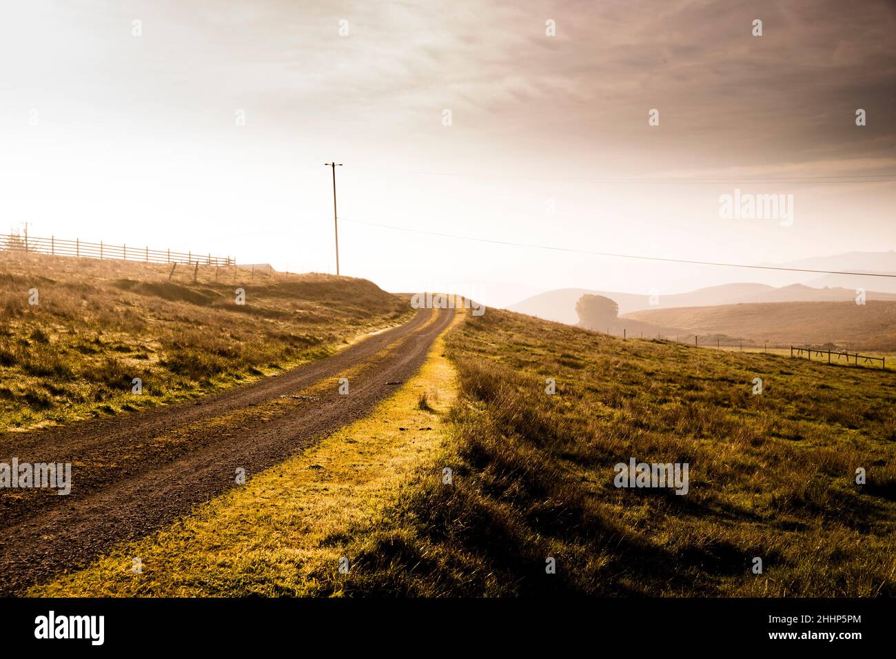 Ghiel Road nel Paese a Petaluma, California Foto Stock