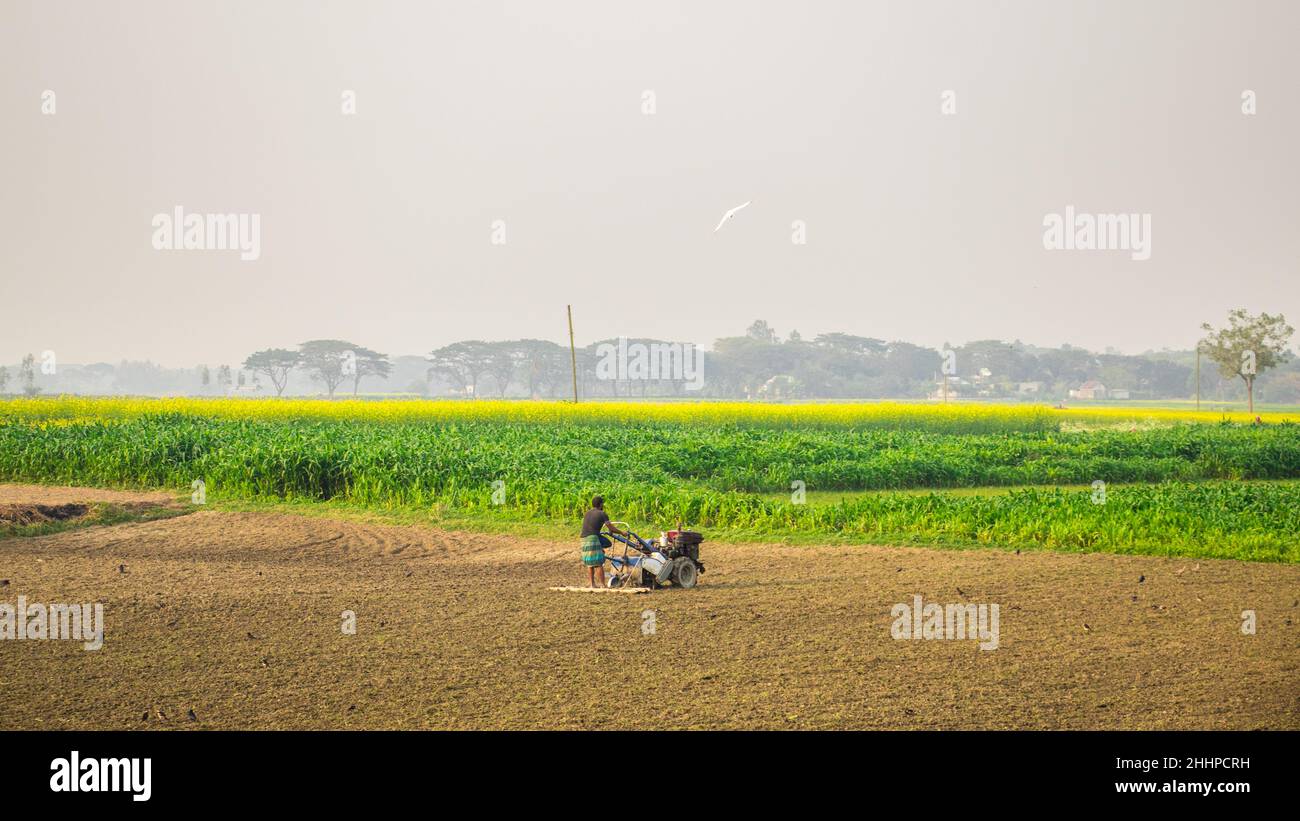 Coltivatore che coltiva campo con trattore nelle stagioni invernali. Ho catturato questa immagine il 17 gennaio 2022, dal Bangladesh, Asia meridionale Foto Stock