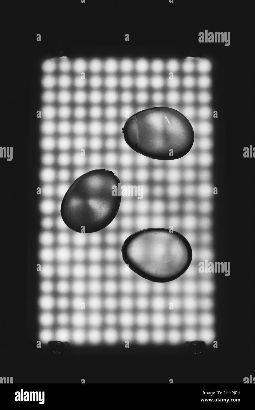 Foto astratta con cristalli trasparenti su sfondo luminoso a LED Foto Stock