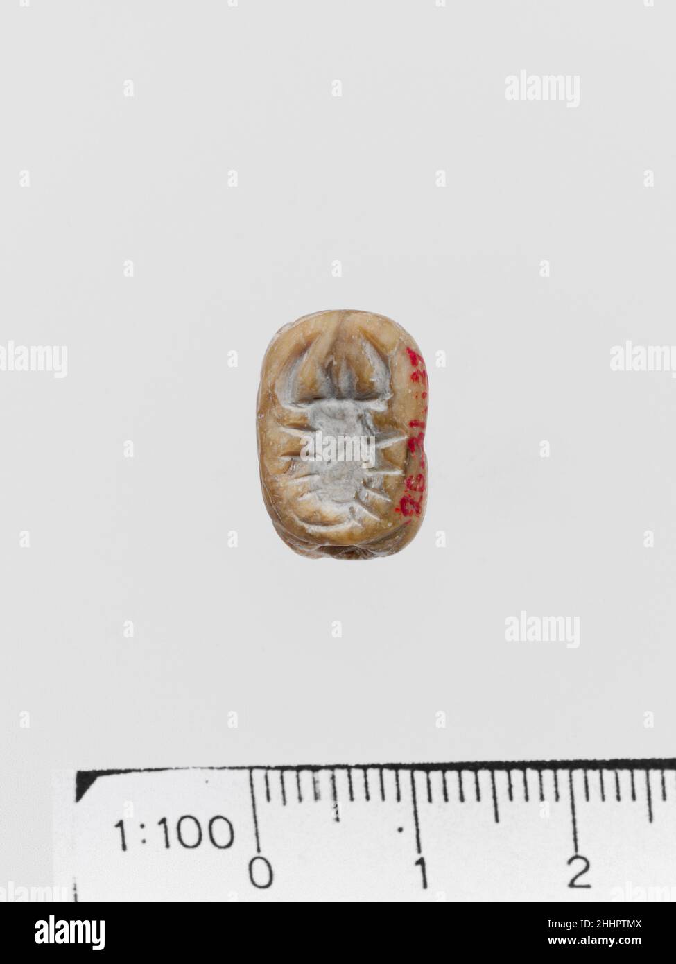 Prisma triangolare steatite ca. 2200–1900 a.C. Minoan Scorpion; uomo; due insetti.. Prisma triangolare steatite. Minoan. CA. 2200–1900 A.C. Serpentina. Medio Minoan I. Gemme Foto Stock