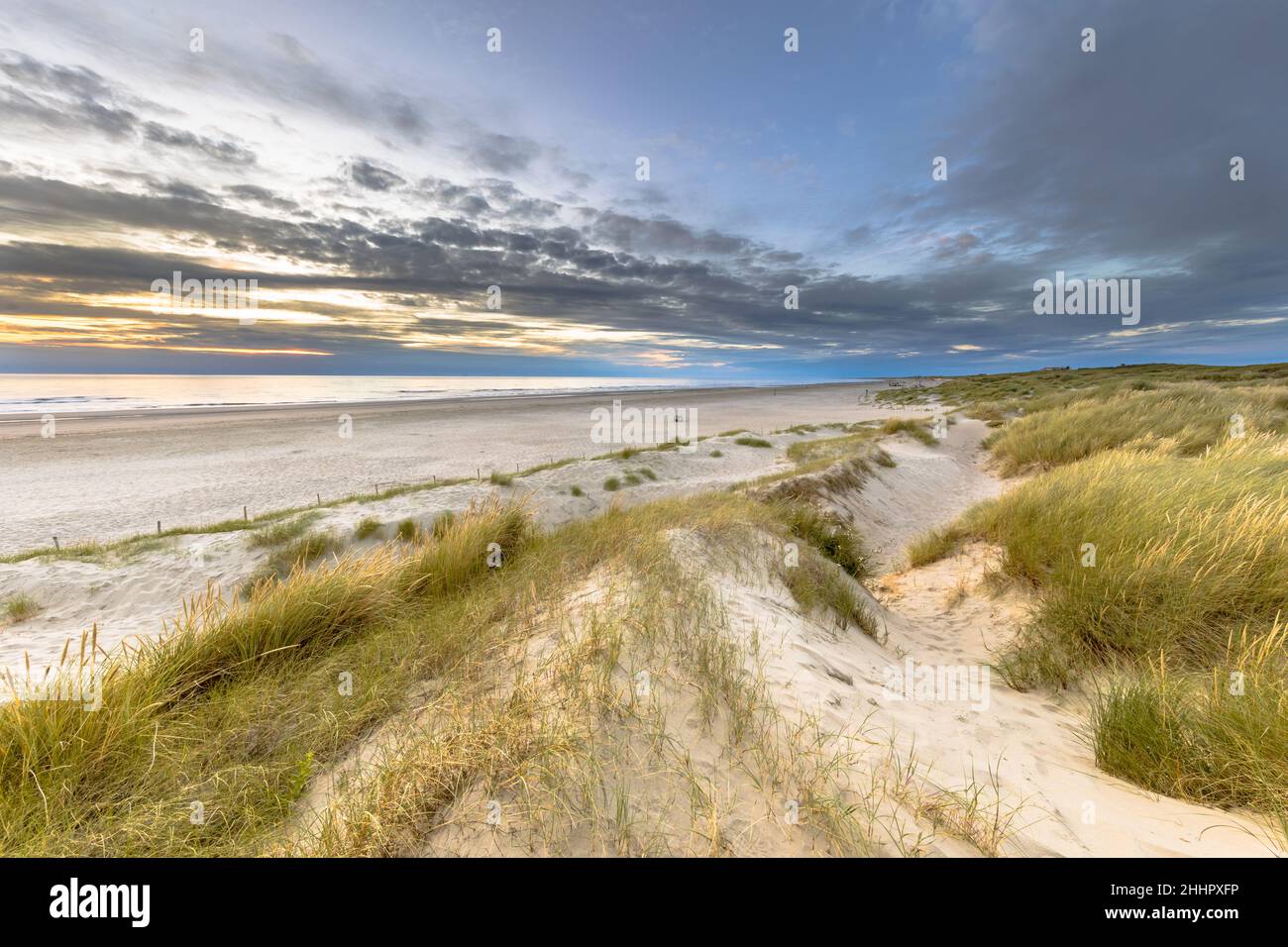 Vista panoramica della duna di sabbia sulla costa del mare del Nord al tramonto vicino Wijk aan Zee, provincia Noord Holland, Paesi Bassi. Paesaggio scena di europeo n Foto Stock
